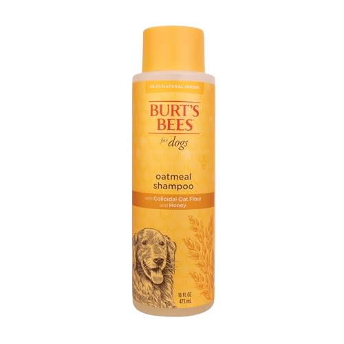 Burt's Bees for Pets Oatmeal Dog Shampoo - Soothing Shampoo for Dogs - Gentle Dog Shampoo for Sensitive Skin - Moisturizing Pet Care with Colloidal Oat Flour & Honey - Fragrance Free, 16 Oz