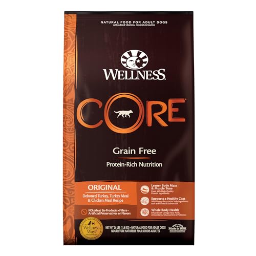 Wellness CORE Grain-Free High-Protein Dry Dog Food, Made in USA with Real Meat & Natural Ingredients, All Breeds, Adult Dogs (Turkey & Chicken, 26-lb) With Nutrients for Immune, Skin, & Coat Support