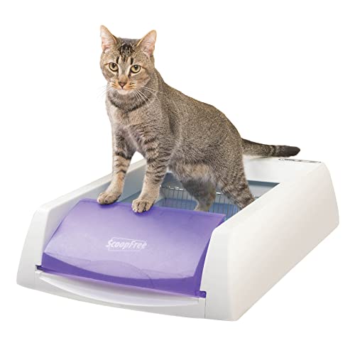 PetSafe ScoopFree Original Purple Uncovered Self Cleaning Cat Litter Box System - No More Scooping - Includes Automatic Cat Litter Box, Disposable Litter Tray, 4.5 lb Premium Blue Crystal Cat Litter