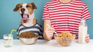 What human food can dogs eat