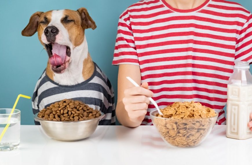 What human food can dogs eat