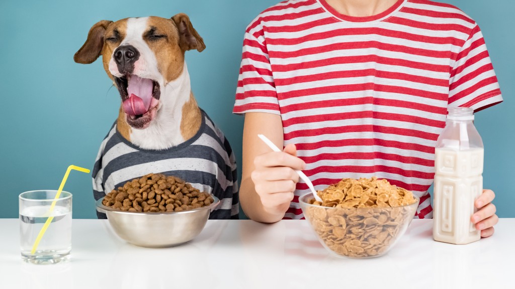 What human food can dogs eat