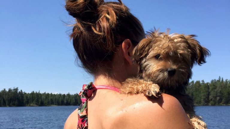 Havanese Breeders BC and Vancouver Island