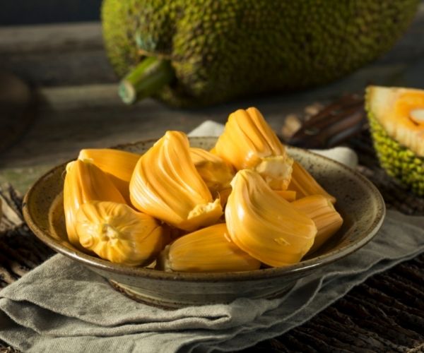 Jackfruit for dogs