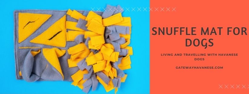 snuffle mat for dogs