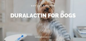 duralactin for dogs