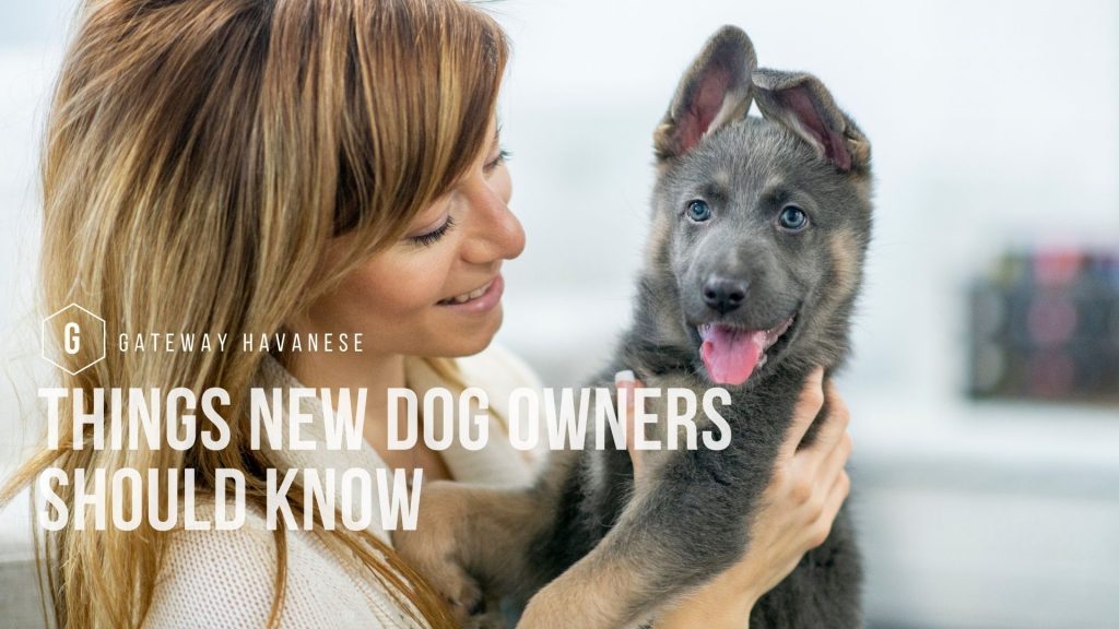 things new dog owners should know