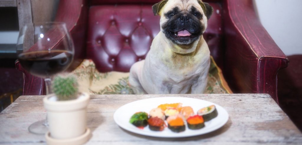 Can Dogs Eat sushi