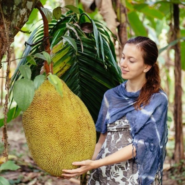 massive-jackfruit-1024x683