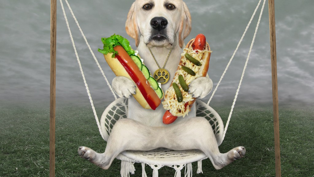 Can Dogs Eat hot dogs