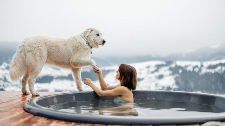Gateway Havanese - Can Dogs Go in the Hot Tub