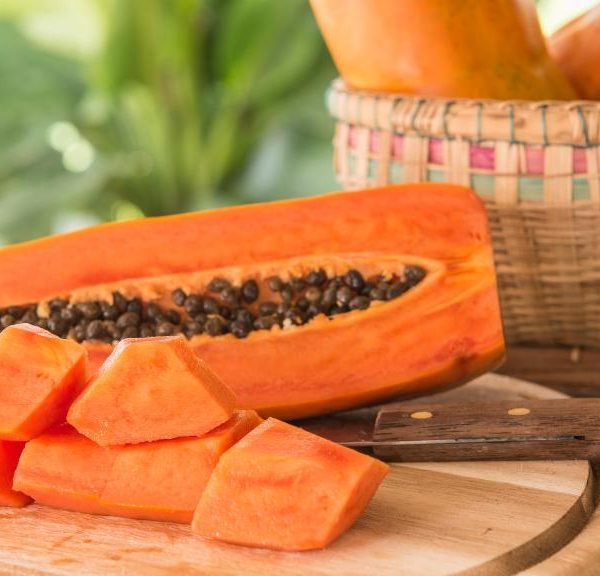 Gateway Havanese - Can dogs eat papaya