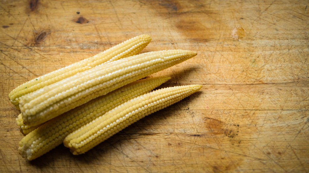 Can Dogs Eat Baby Corn