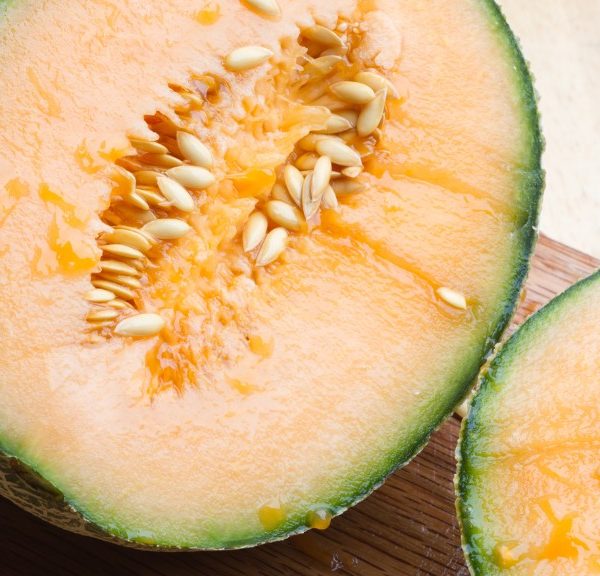 Can Dogs Eat Cantelope