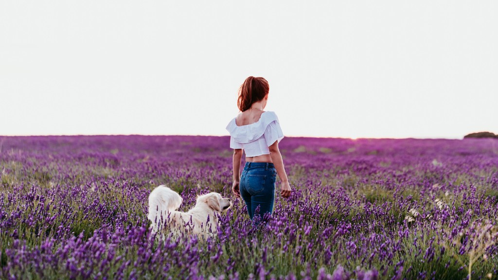 Can Dogs Eat Lavender