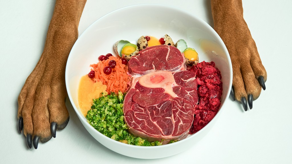 What Raw Meat Can Dogs Eat