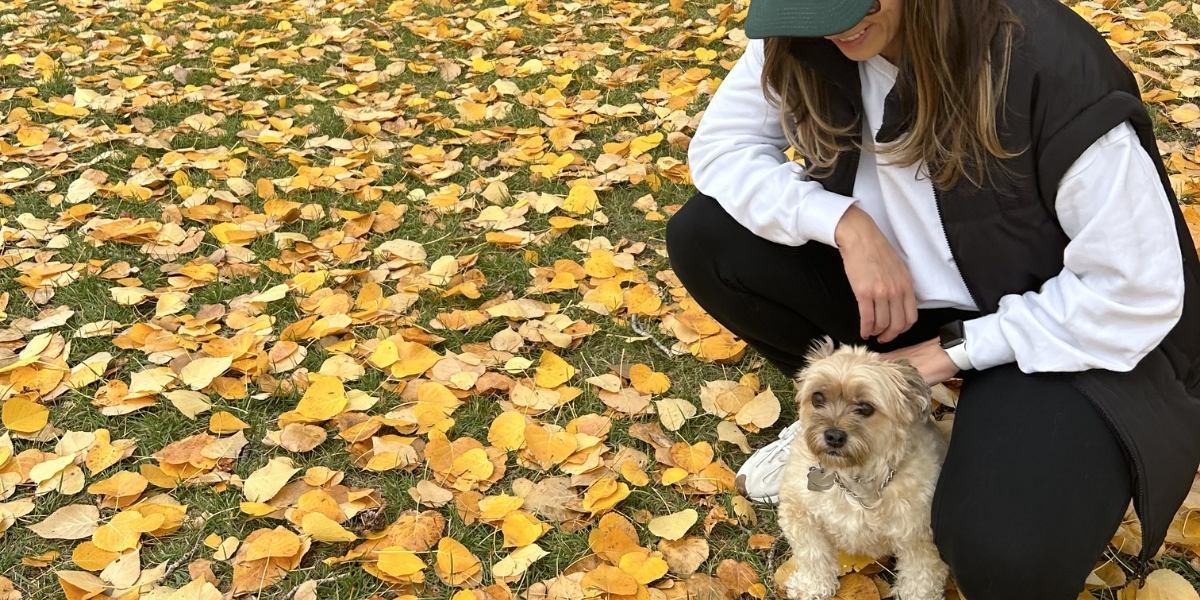 Havanese Blog